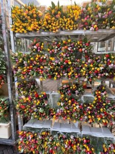 Flower market in Utrecht